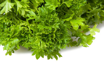 Fresh green parsley for salad isolated on the white