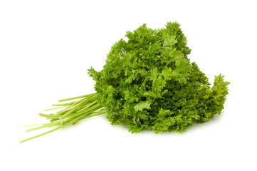 Fresh green parsley for salad isolated on the white