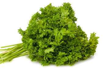 Fresh green parsley for salad isolated on the white