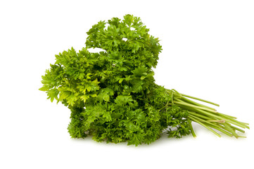 Fresh green parsley for salad isolated on the white