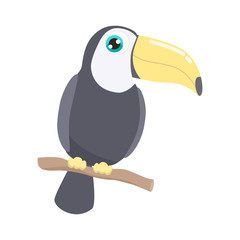 Cute toucan vector illustration. flat design.