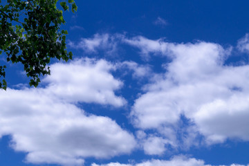 A summer sky at noon with dense cumulus clouds and a branch from a tree with green foliage.