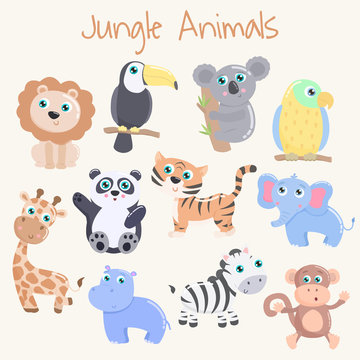 Cute jungle animals. Flat design.