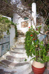 Fototapeta na wymiar I the Monastery of Paleokastritsa - Nice stairs with flower pot (Corfu, Greece)
