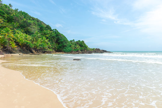 Amazing green nature at the Itacarezinho beach