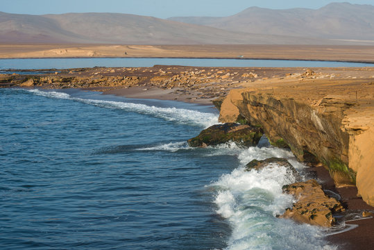 Paracas National Reserve. The very first Marine Conservation center in Peru, refer to the prolific wildlife and the great scenery as the "Galapagos of Peru"