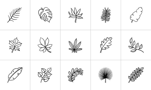 Leaves of plants and trees sketch icon set for web, mobile and infographics. Hand drawn leaves vector icon set isolated on white background.