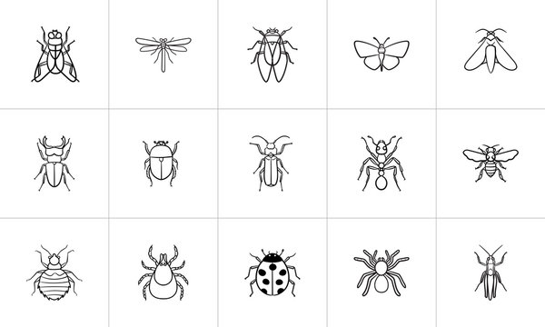 Insects sketch icon set for web, mobile and infographics. Hand drawn insects vector icon set isolated on white background.