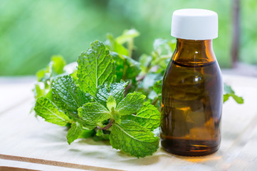 Natural Mint Essential Oil in a Glass Bottle with Fresh Mint Leaves