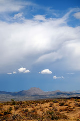 Arizona Desert Storm