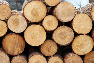 Fototapeta premium A&nbsp;front&nbsp;image&nbsp;of&nbsp;the&nbsp;piles&nbsp;of&nbsp;firewood.
