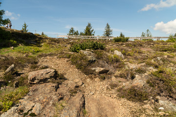 Bavarian Forest - Arber