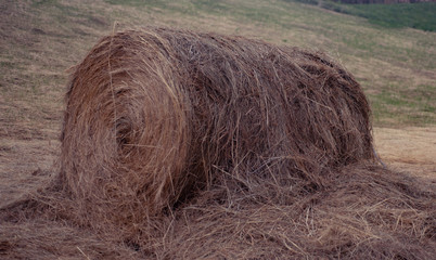 Freshly Baled Round Hay Bale, toned photo. Toned photo, close up