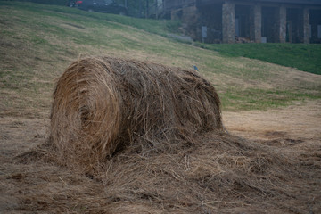 Freshly Baled Round Hay Bale in Farm.
