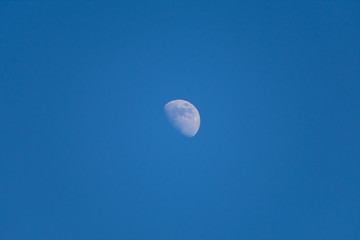 Daylight Moon