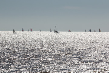 velero rio argentino contra luz rio de la plata  © Felix
