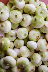 Heap of peeled onions