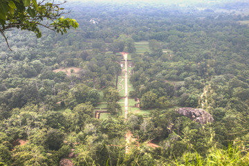 Obraz premium View over the jungle in Sigiriya, Sri Lanka.