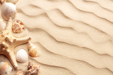 Fototapeta na wymiar top view of sand dunes with seashells