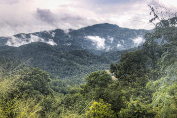 Amazing landscapes in Kandy, Sri Lanka.