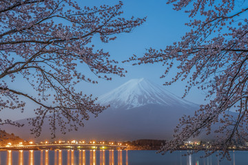 Fototapeta premium Night view of Sakura cherry blossom and Mt. Fuji at Kawaguchiko lake , Japan in spring season