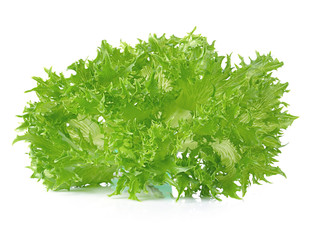 Fresh  lettuce leaves isolated on white background.