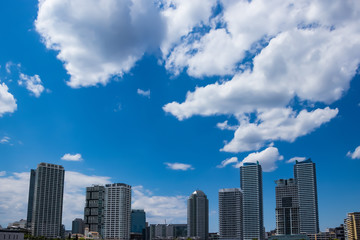 Fototapeta premium (神奈川県ｰ都市風景)みなとみらいのビルディング群７