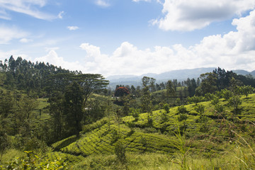 Landscape in the highlands of Sri Lanka.