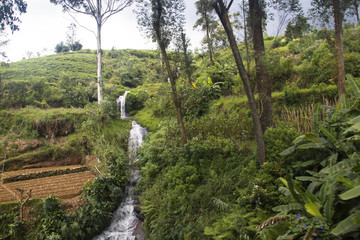 Landscape in the highlands of Sri Lanka.