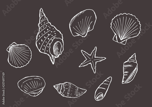 ベスト50 背景 黒 イラスト 動物ゾーン