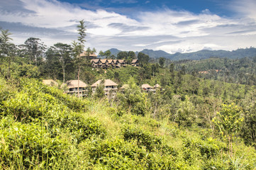 Fototapeta na wymiar View over the mountains in Ella, Sri Lanka.