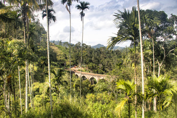 Nine Arches bridge in Ella, Sri Lanka.