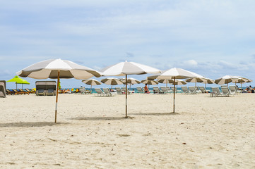 Beach Umbrella