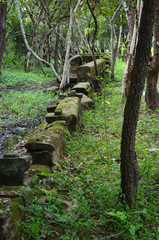 A ruined stone wall in a forest, surrounded by trees and lush undergrowth. The wall is covered with moss, but the original shape of the stones can be seen.
