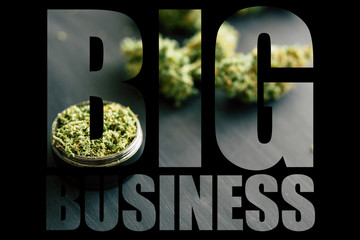 Marijuana, Big Business, black Background. Macro of marijuana with trichomes and crushed weed in a...