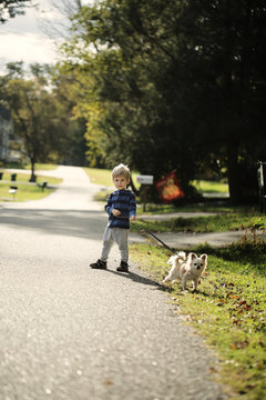 little boy and chihuahua in the autumn park