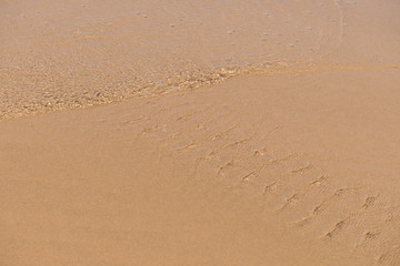 Fototapeta na wymiar Texture beach sandy surface with ripples formed