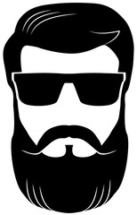 Bearded man wearing shades vector image