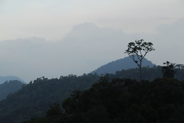 Landscape mountain with fog, enjoy life 