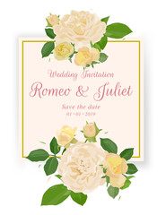 Roses flower with frame, romantic and love concept.