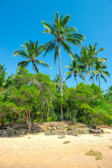 Obraz na płótnie Canvas impressive paradise beach at the Itacare Bahia Brazil