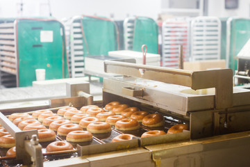 Fresh donuts leaves the conveyor. Production of donut. Doughnut
