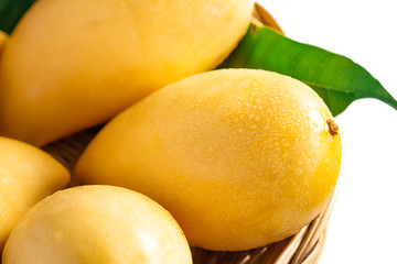 Yellow mango Beautiful skin In the basket In white background 