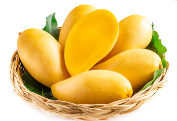 Yellow mango Beautiful skin In the basket In white background 