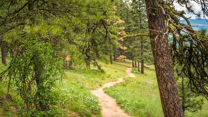 Kamiak Butte: Pine Ridge Trail