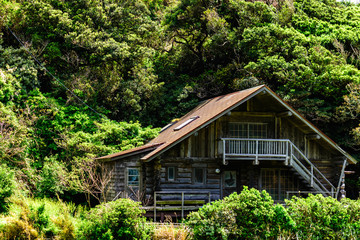 田舎の丸太小屋
