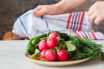 Fresh young vegetables for healthy salad. Radishes cucumbers dill spices and oil on a plate. White stone background.