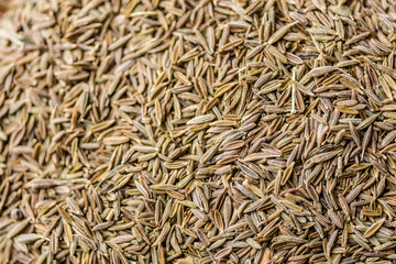 roman cumin seeds spice