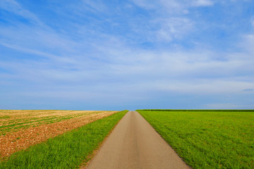 Road. A field road under a  blue sky.Landscape in minimalist style