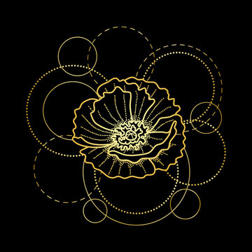 Gold Poppy And Circles On Black Background